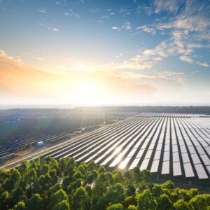 Joint Ventures & Partnerships